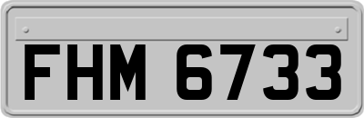 FHM6733