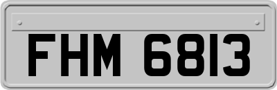 FHM6813