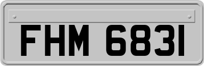 FHM6831