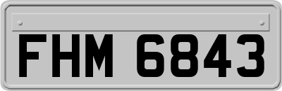 FHM6843