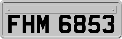 FHM6853