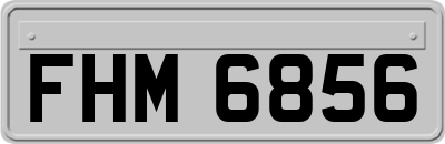 FHM6856