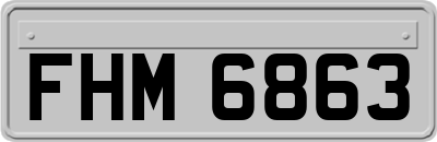 FHM6863