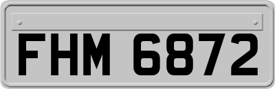FHM6872