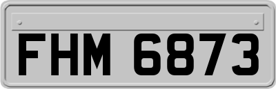 FHM6873