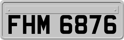 FHM6876