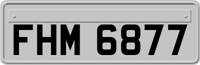 FHM6877
