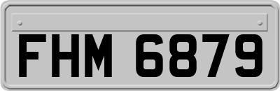 FHM6879