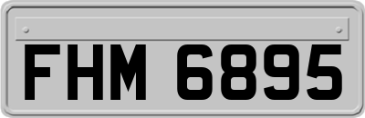 FHM6895
