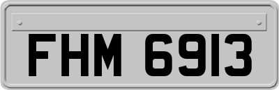FHM6913