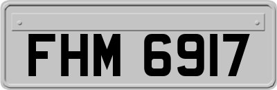 FHM6917