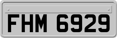 FHM6929