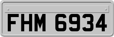 FHM6934