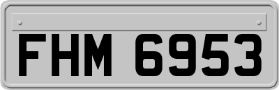 FHM6953