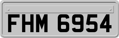 FHM6954