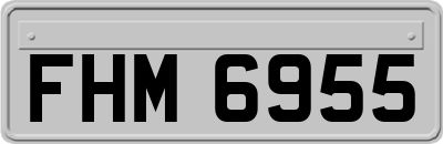FHM6955