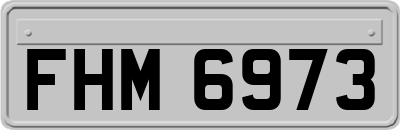 FHM6973