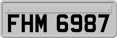 FHM6987
