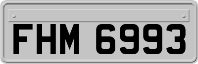 FHM6993