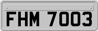 FHM7003