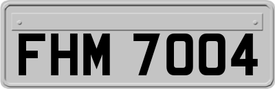 FHM7004