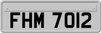 FHM7012