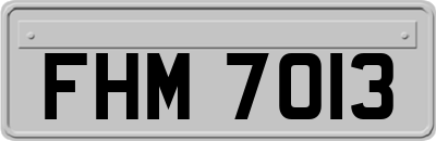 FHM7013