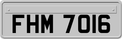 FHM7016
