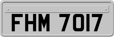 FHM7017