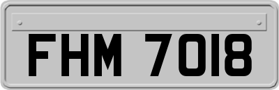 FHM7018