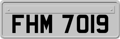 FHM7019