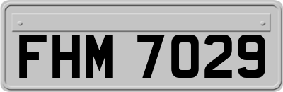 FHM7029