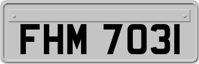 FHM7031