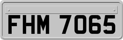 FHM7065