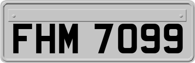 FHM7099