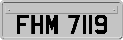 FHM7119