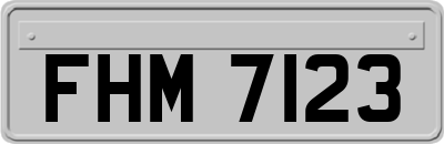 FHM7123