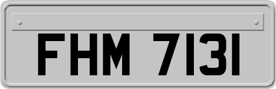 FHM7131
