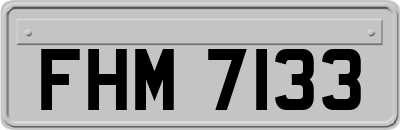 FHM7133