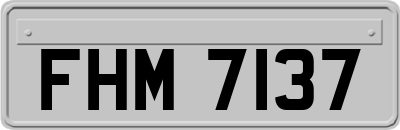 FHM7137