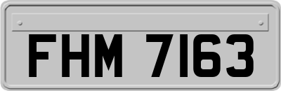 FHM7163