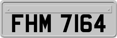 FHM7164