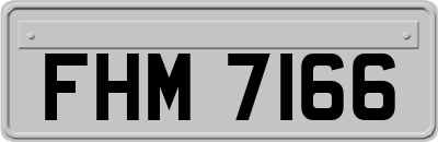 FHM7166
