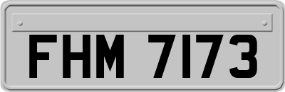 FHM7173