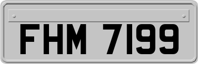 FHM7199