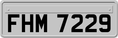 FHM7229