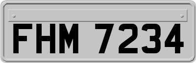 FHM7234