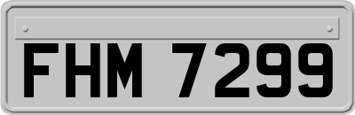 FHM7299