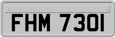 FHM7301