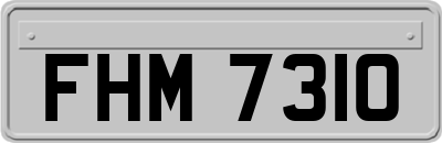 FHM7310